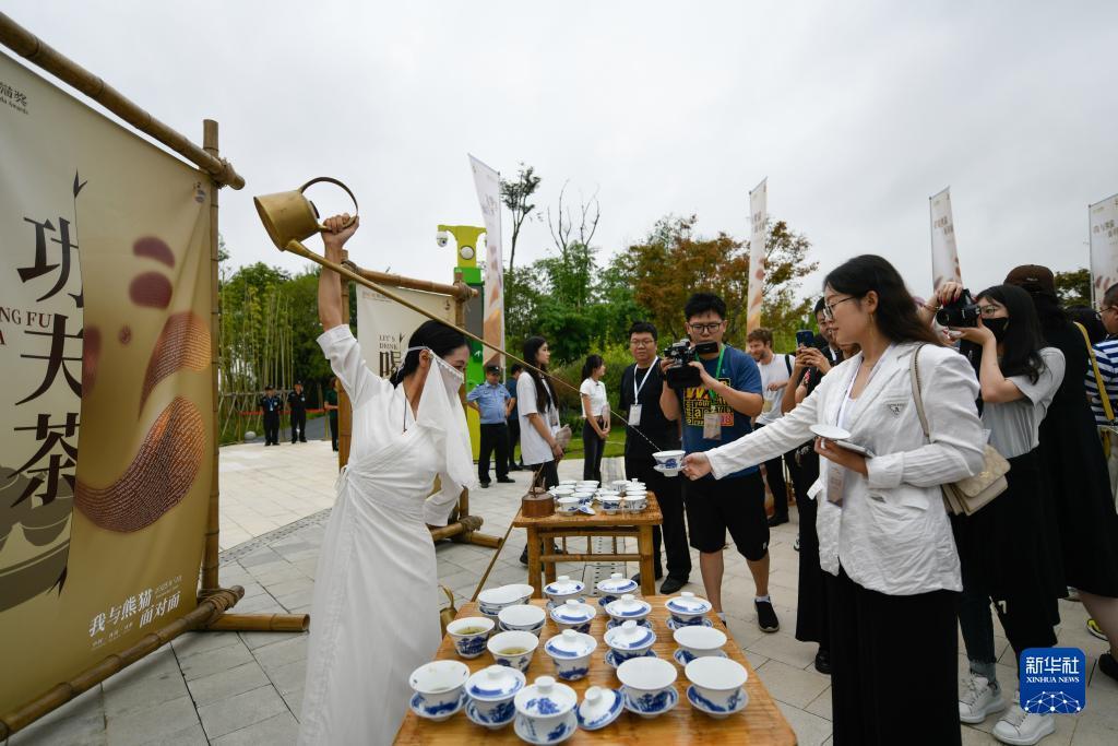 大奖官方网页登陆
